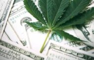 How to Invest in Marijuana Stocks in 2021?
