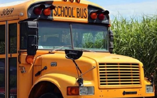 What Are the Different Types of School Buses That Exist Today