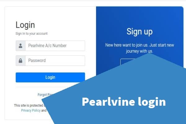 Pearlvine login & Registration Guide 2022