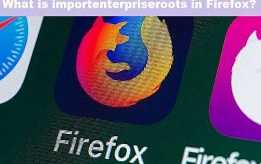 What is importenterpriseroots in Firefox?