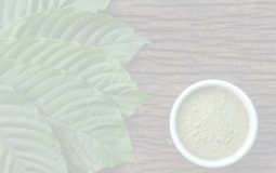 Unlocking the Mystery: What Is Kratom?